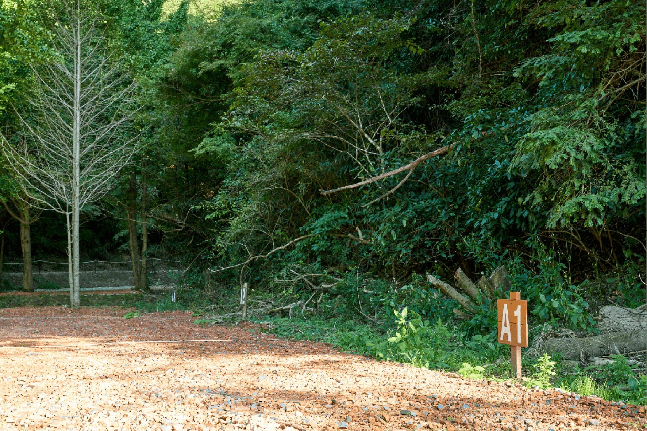 サイトA1イメージ1