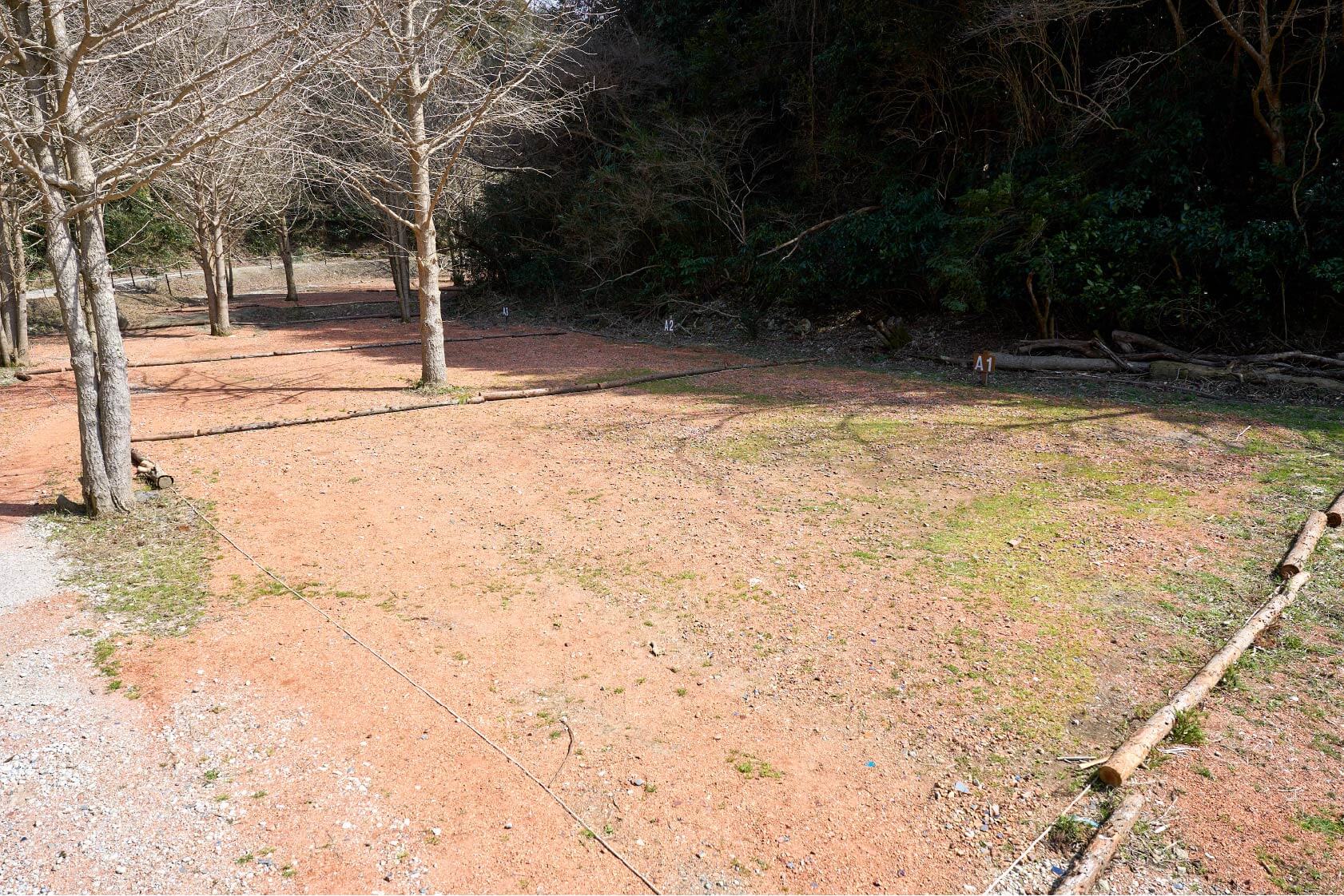 サイトA1イメージ3