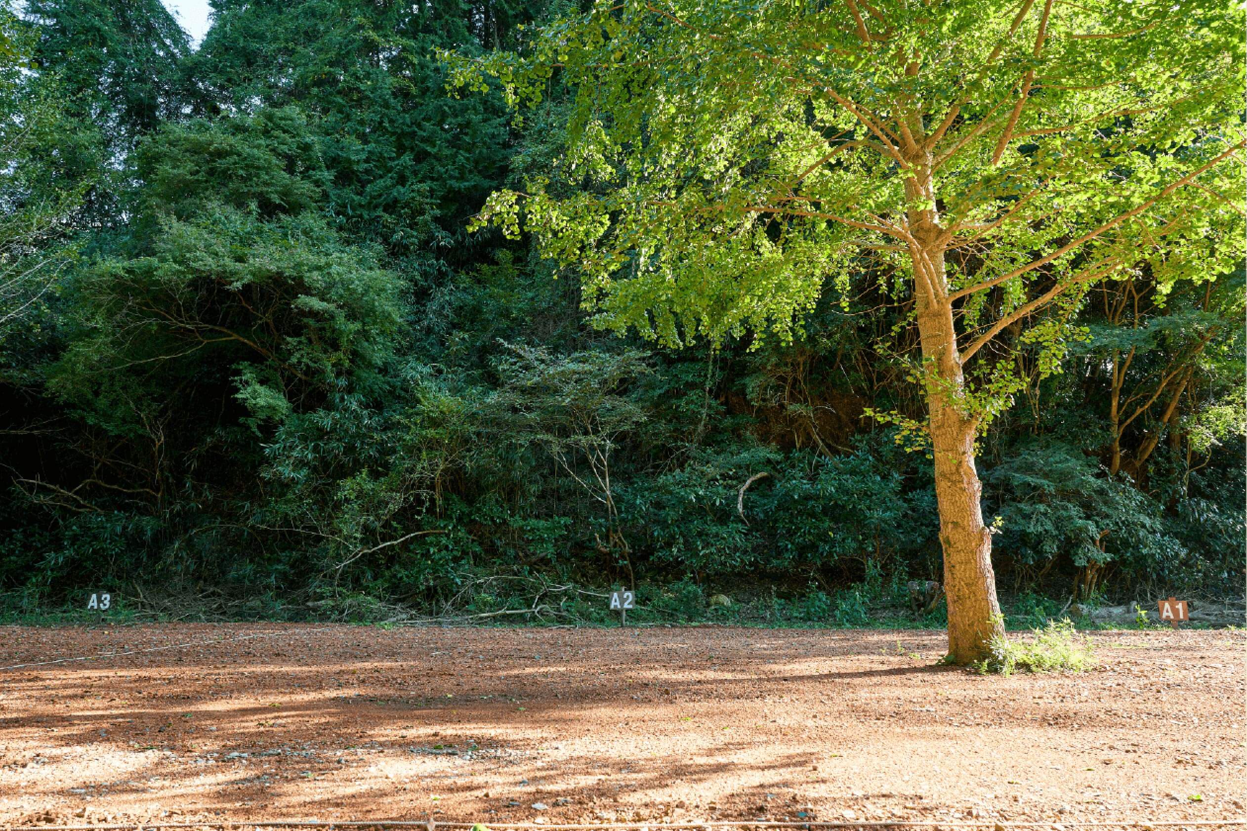 サイトA2イメージ1