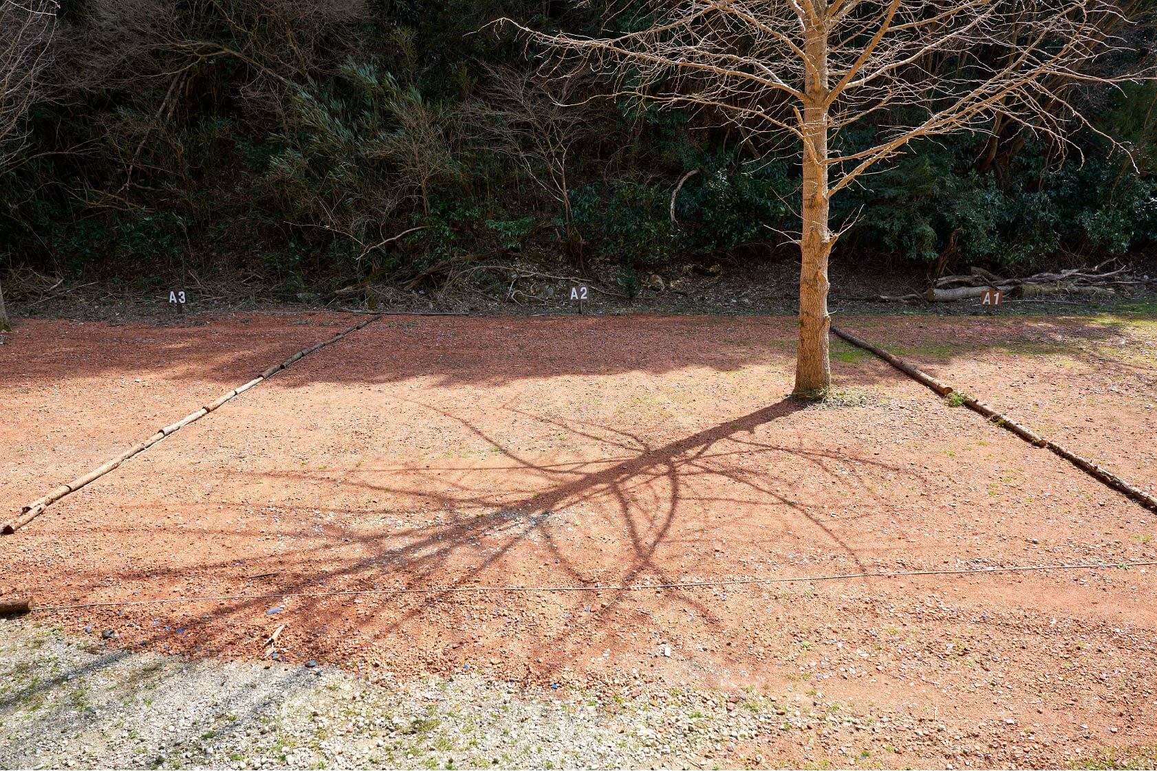 サイトA2イメージ2