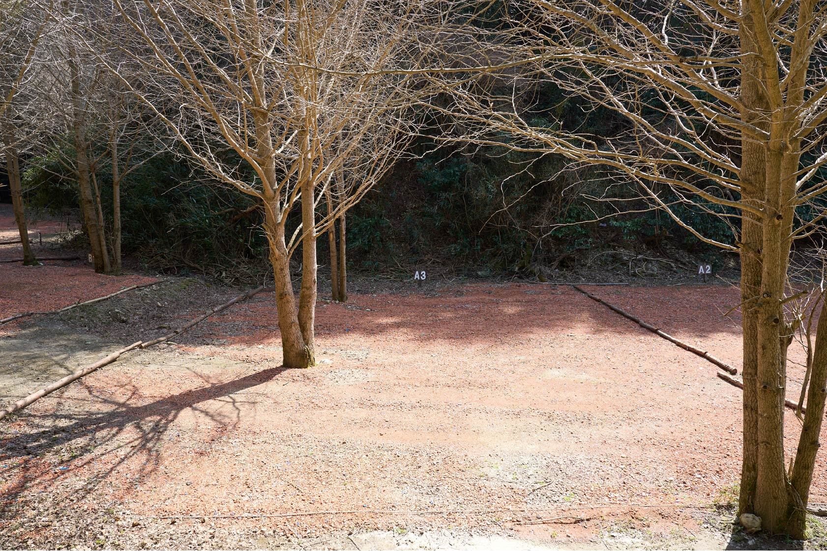 サイトA3イメージ1