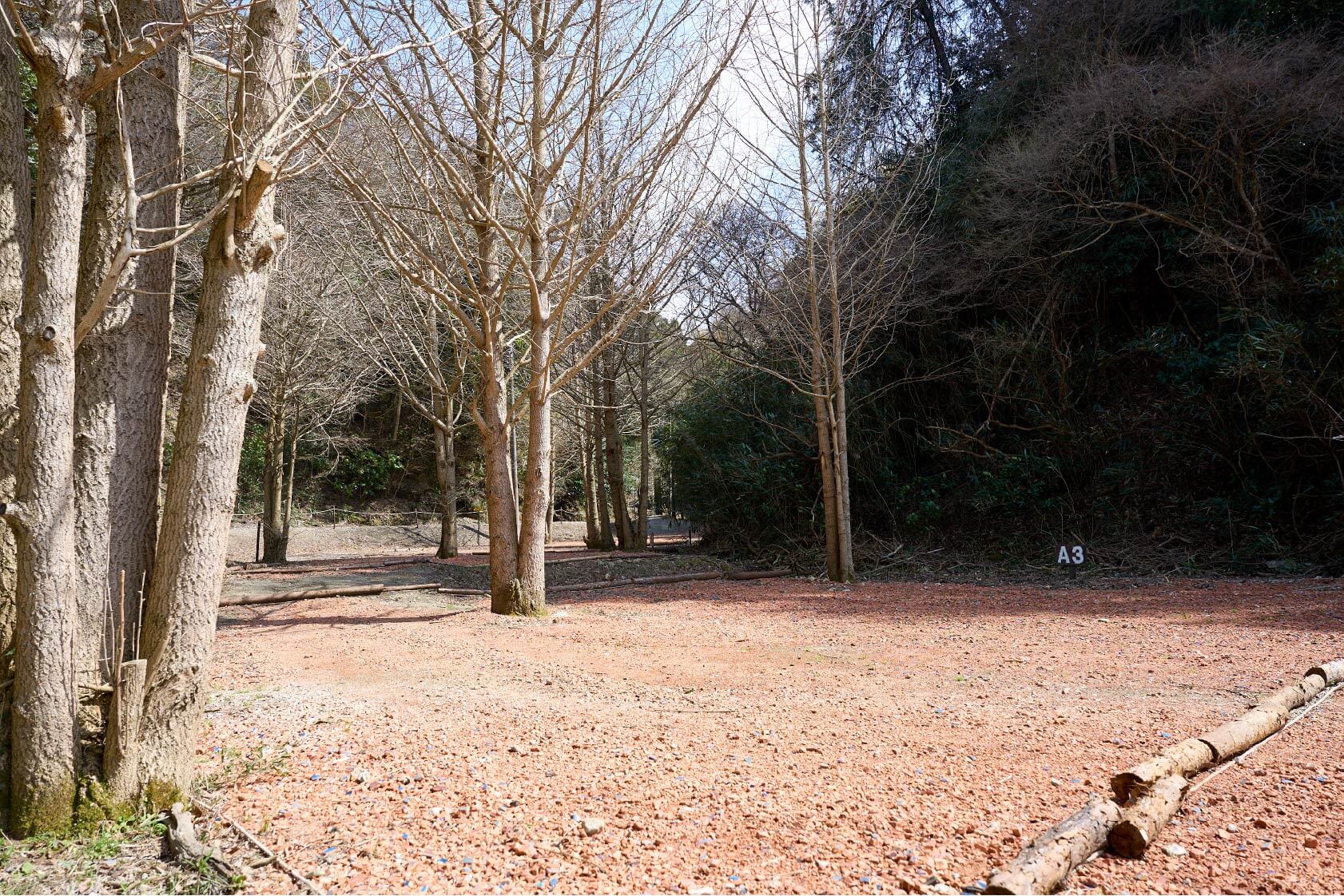 サイトA3イメージ2