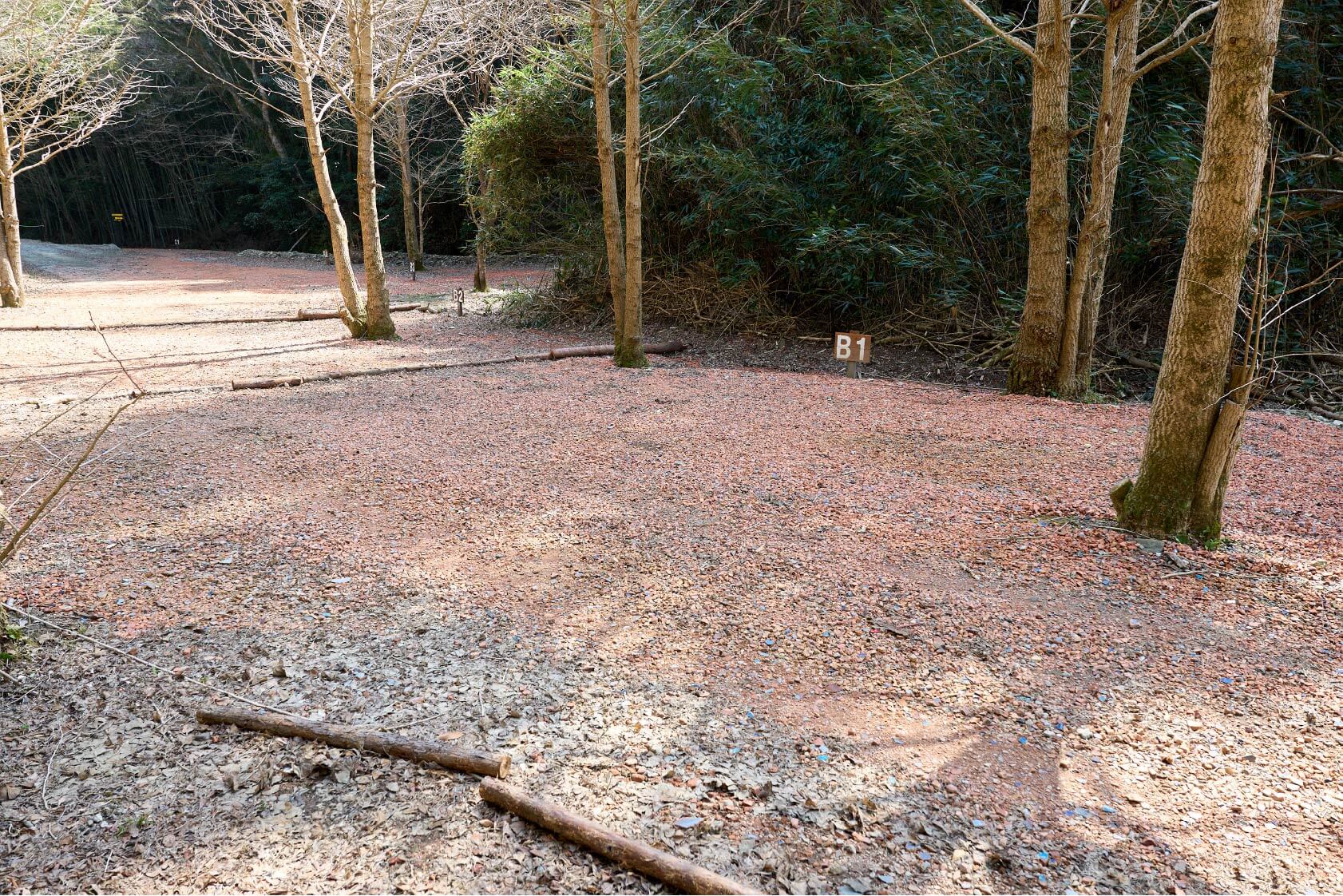 サイトB1イメージ1