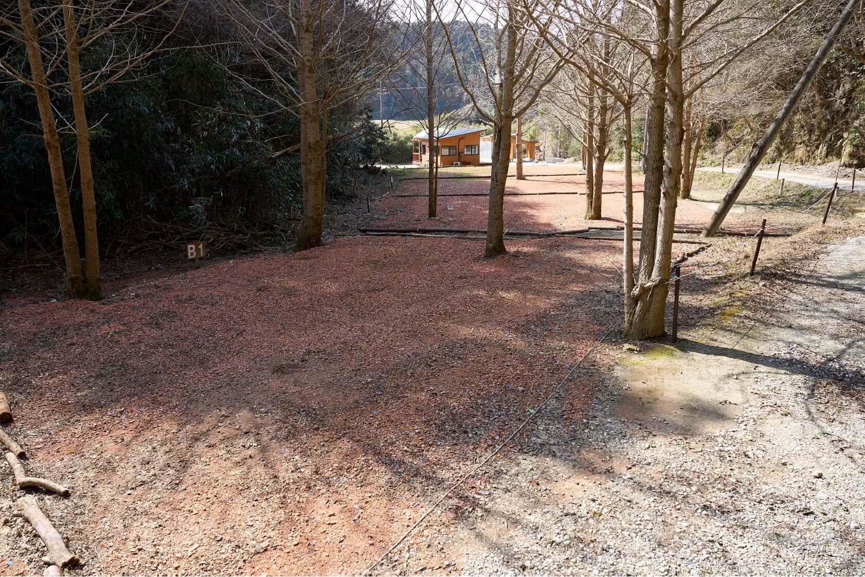 サイトB1イメージ2