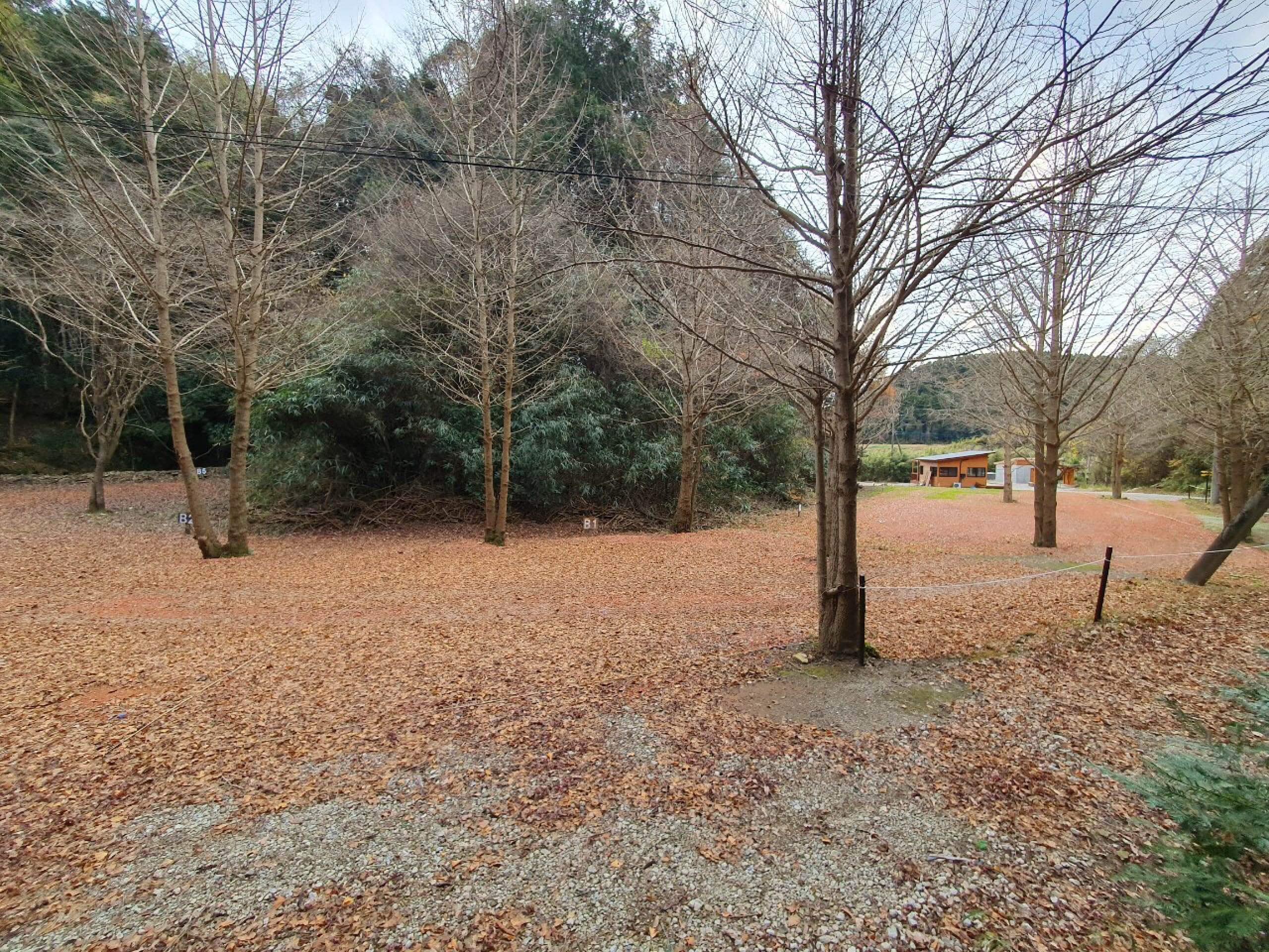 サイトB1イメージ3