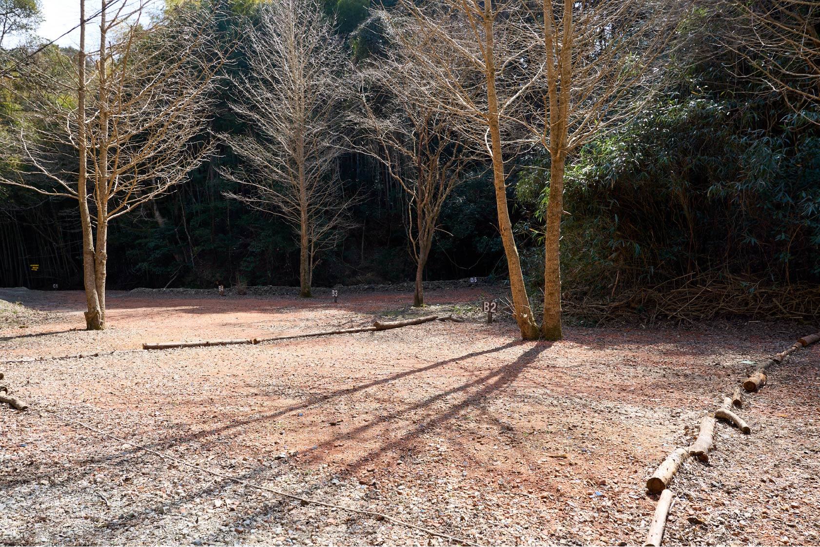 サイトB2イメージ2