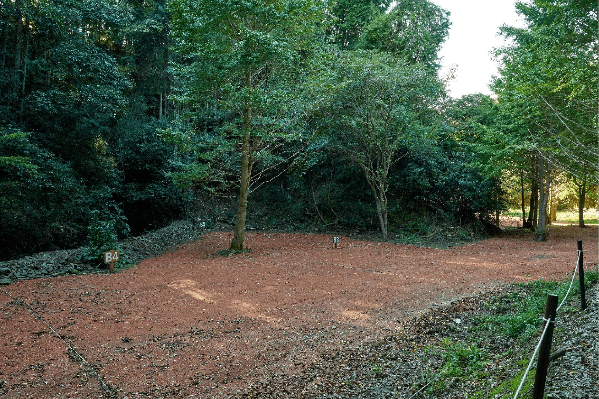 サイトB3イメージ1