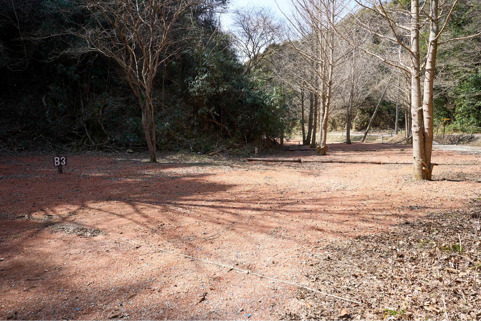 サイトB3イメージ2