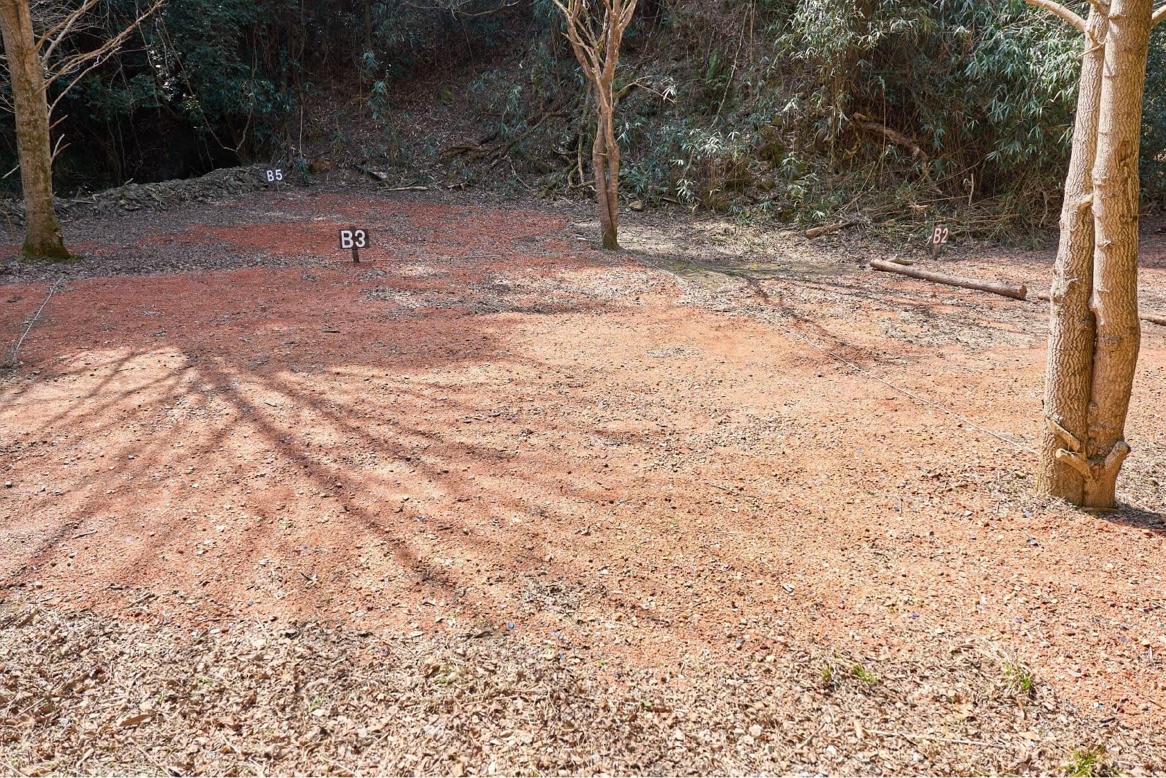 サイトB3イメージ3