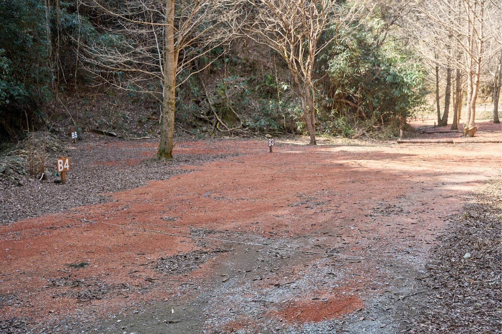 サイトB4イメージ3