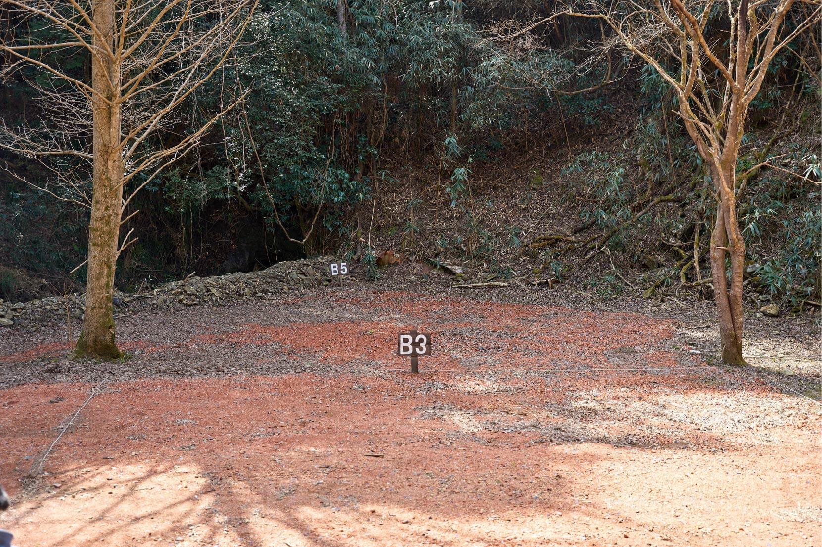 サイトB5イメージ1