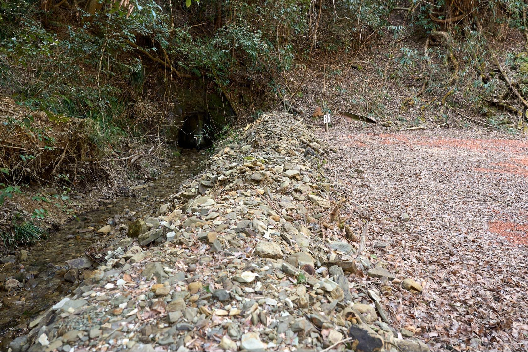 サイトB5イメージ3