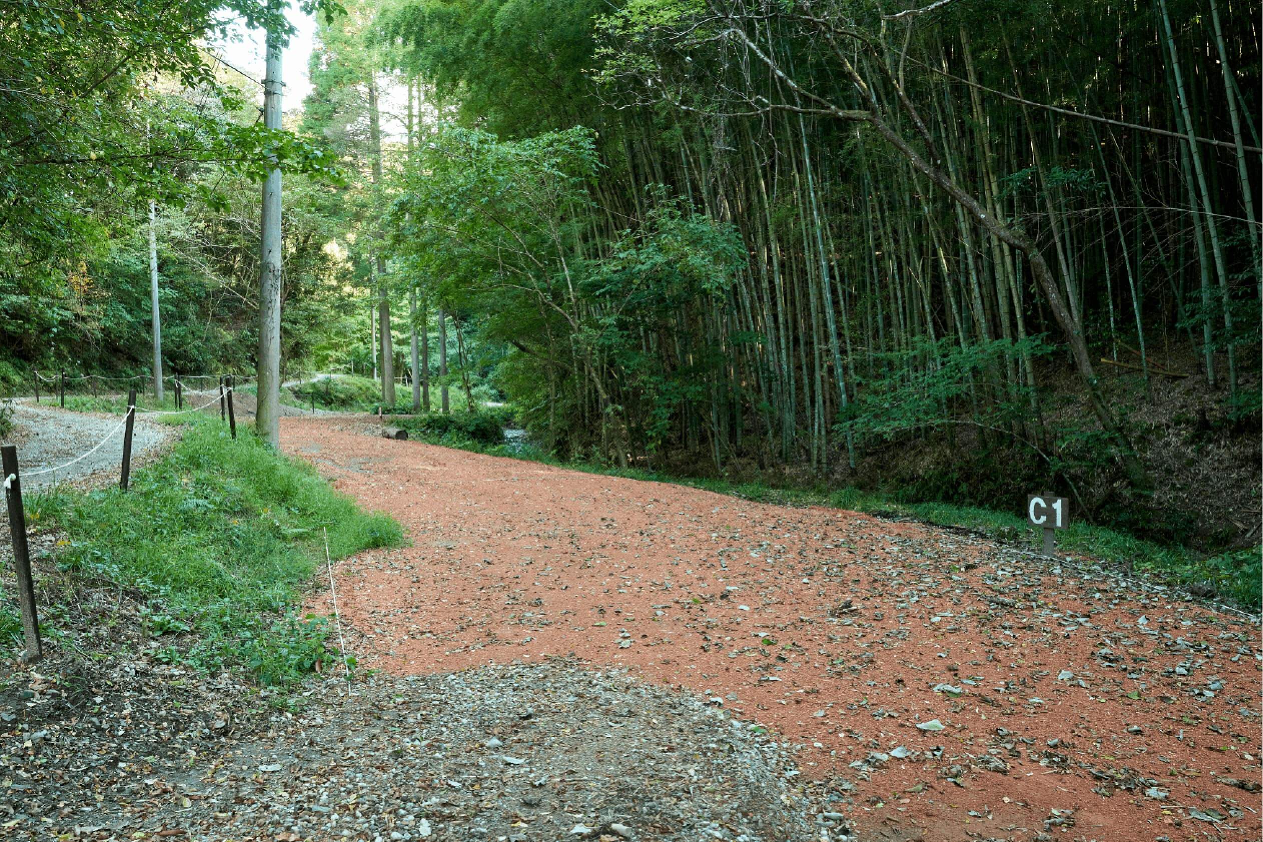 サイトC1イメージ1