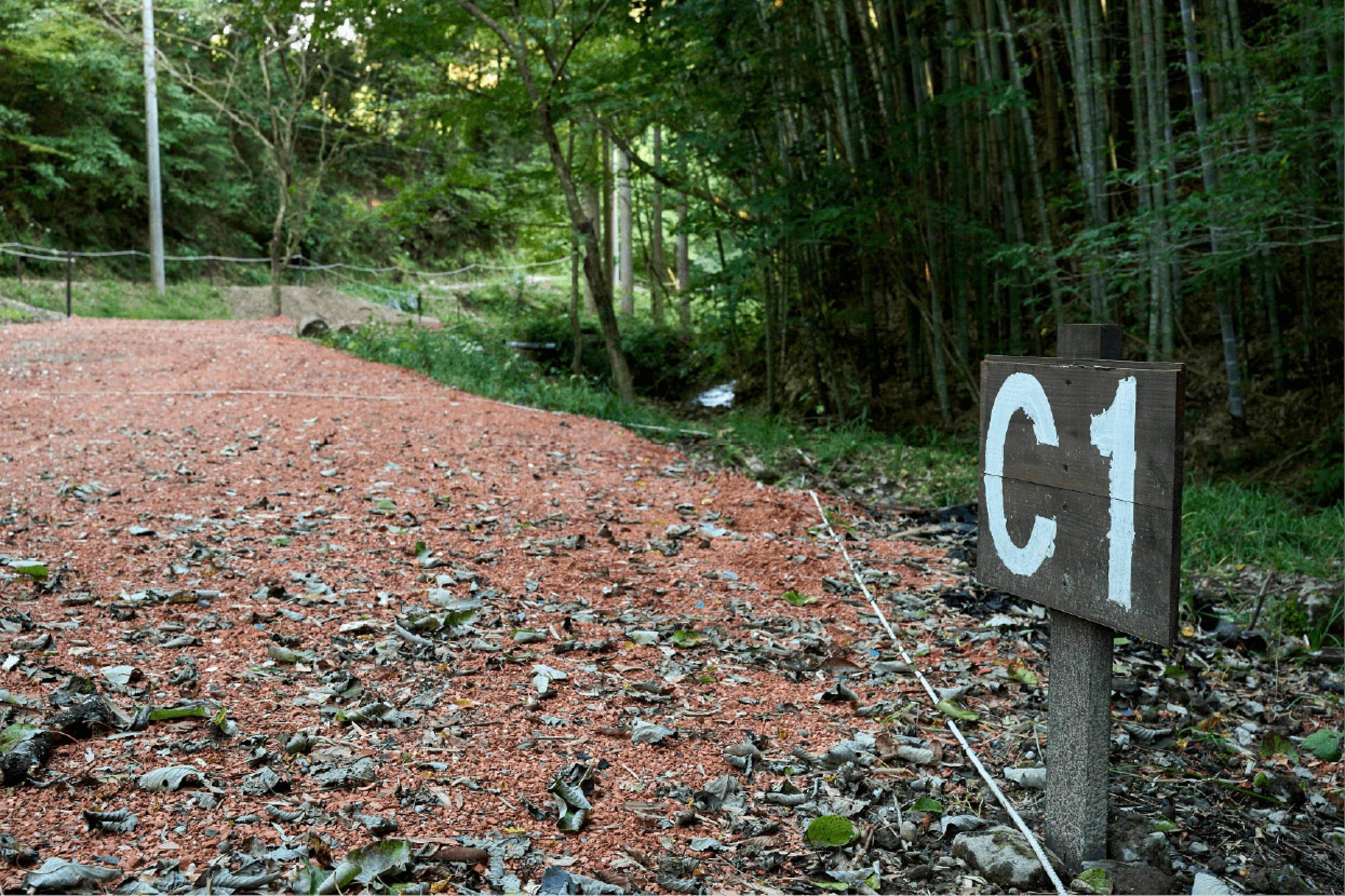 サイトC1イメージ2