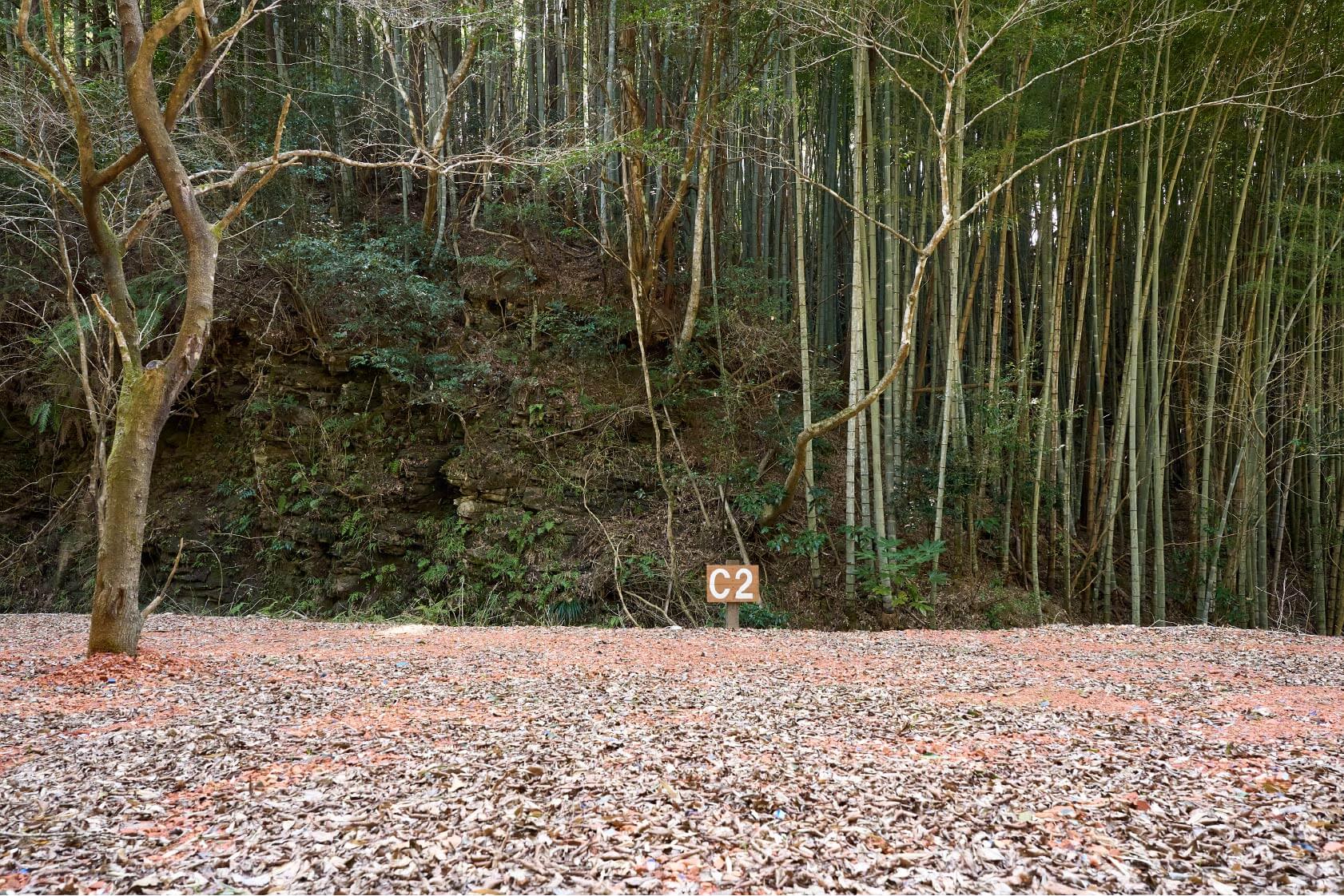 サイトC2イメージ2