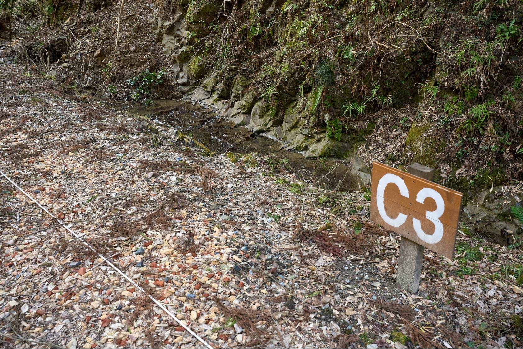 サイトC3イメージ2