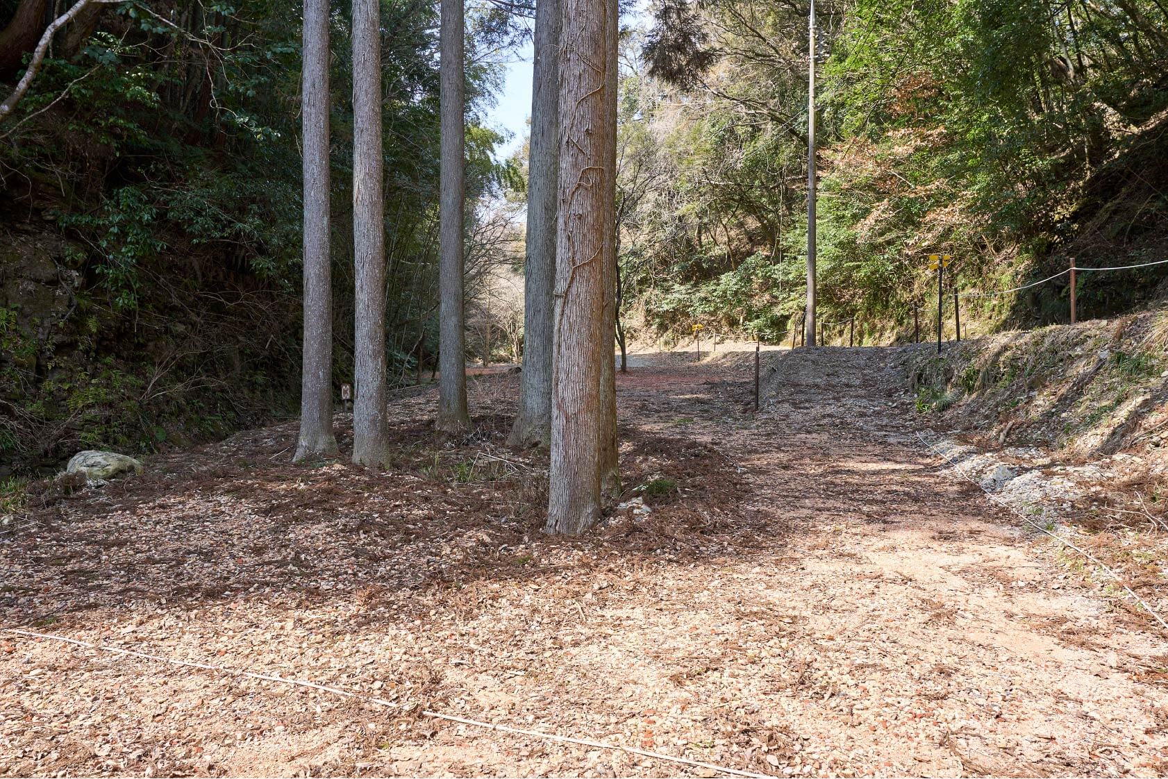 サイトC3イメージ3