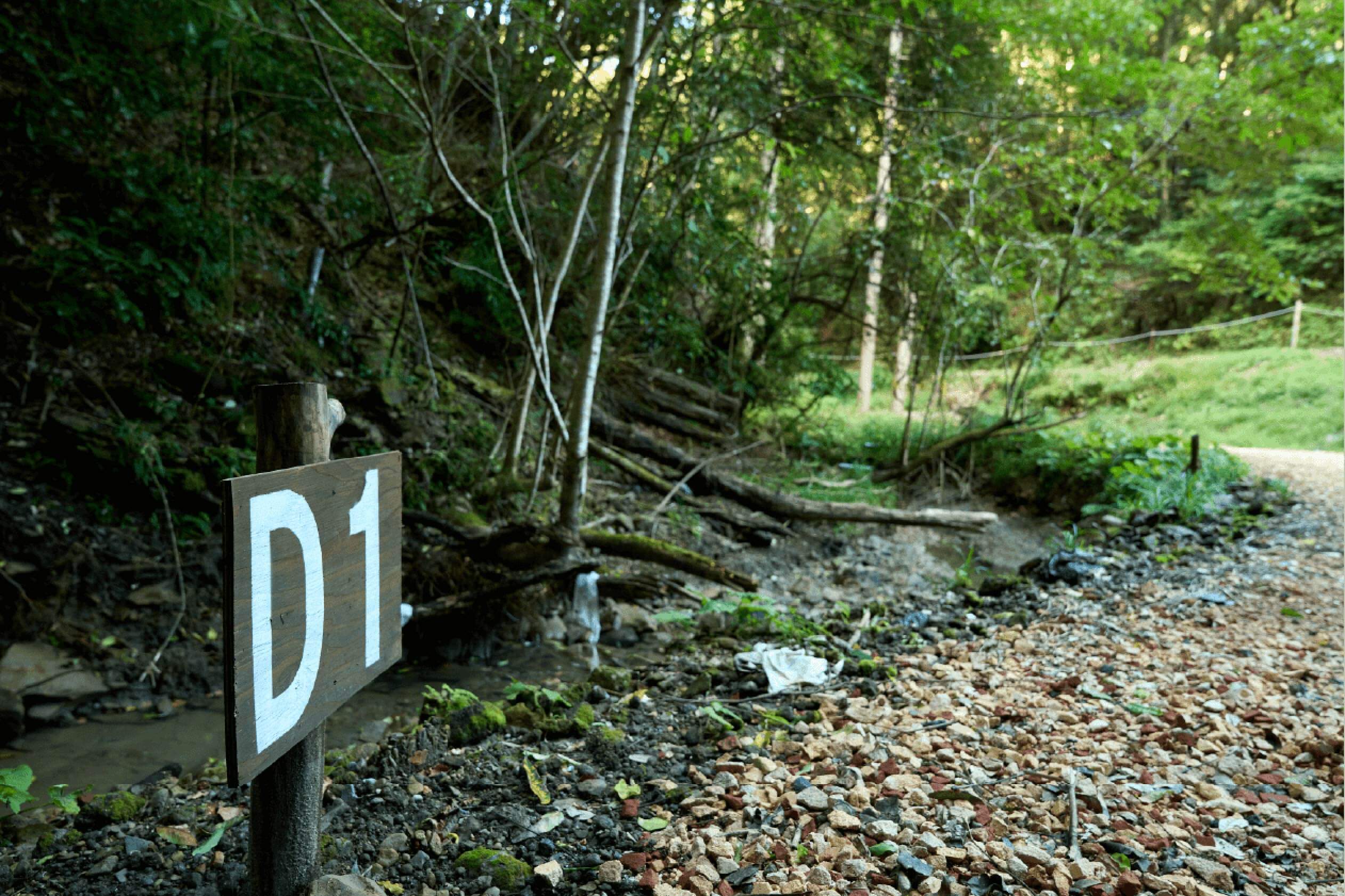 サイトD1イメージ1