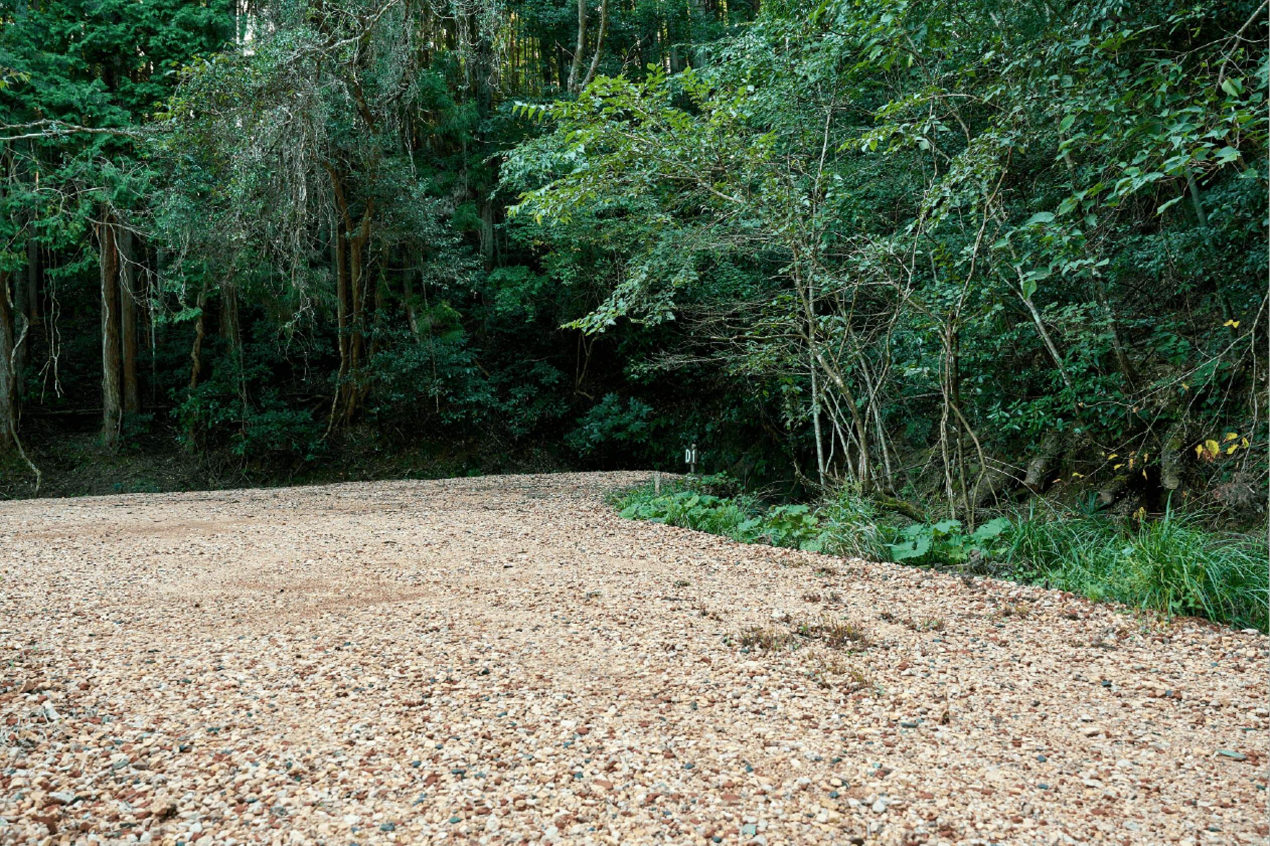 サイトD1イメージ2