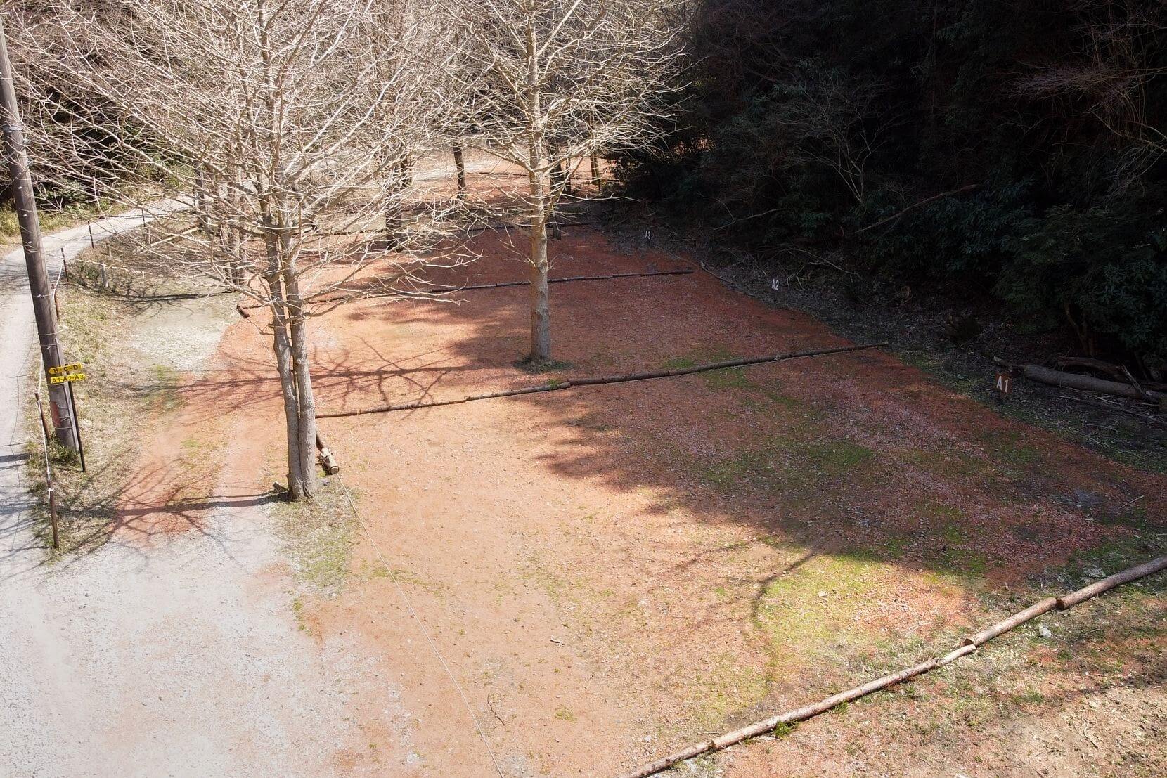 Aサイトイメージ