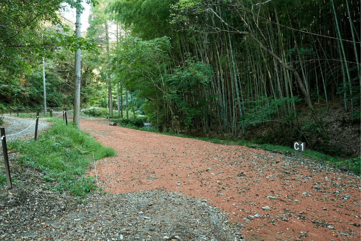 Cサイトイメージ