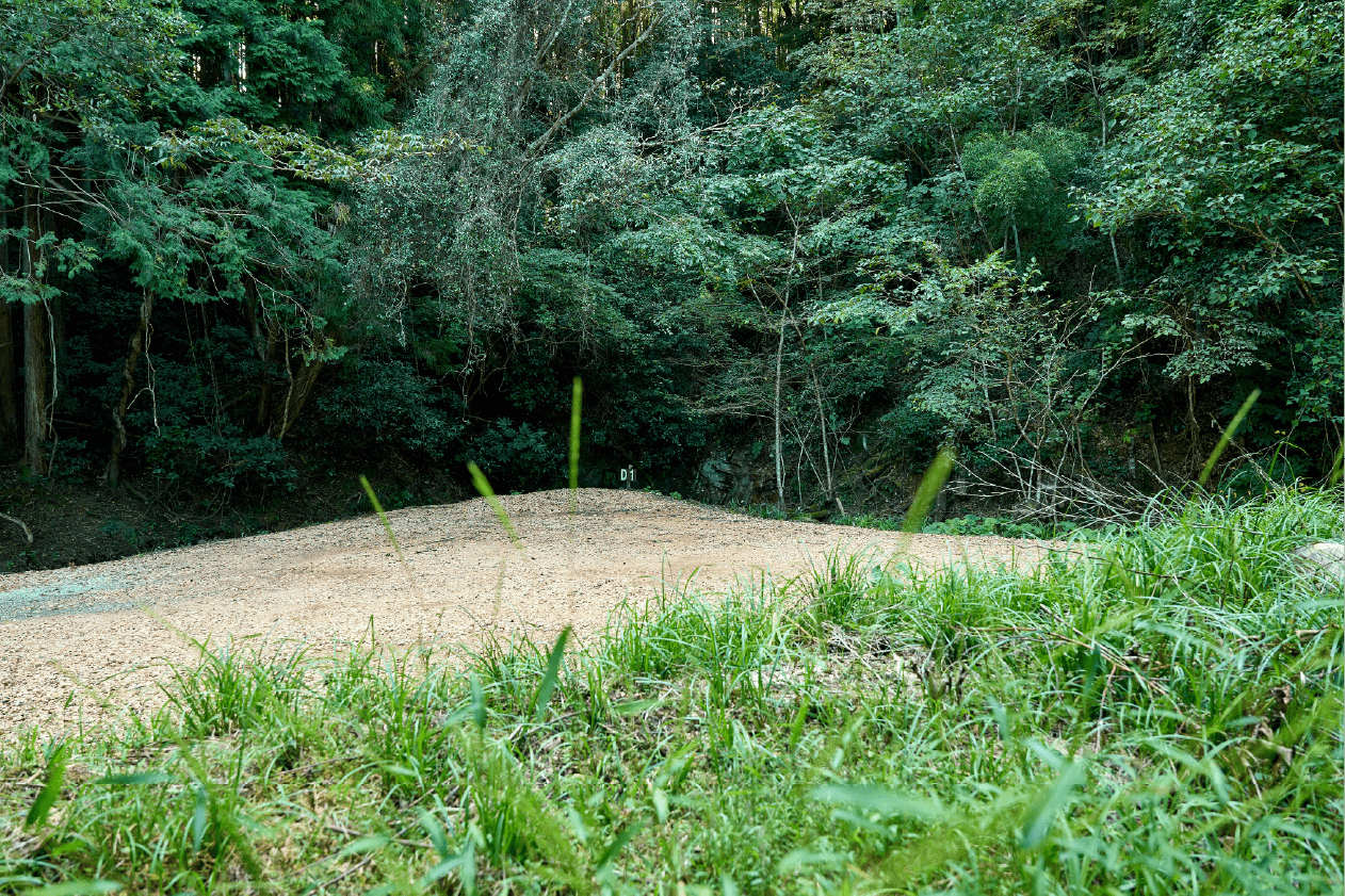 Dサイトイメージ